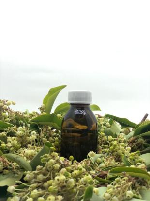 PROHERBAL SANDAL AĞACI HİDROSOLÜ 100 ML