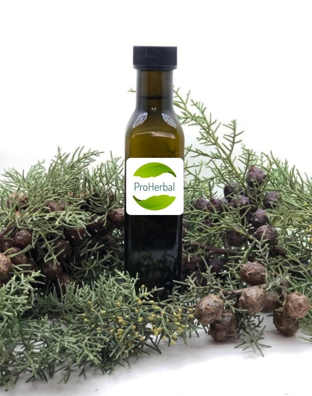 PROHERBAL SERVİ KOZALAĞI ÖZÜ 250 ML