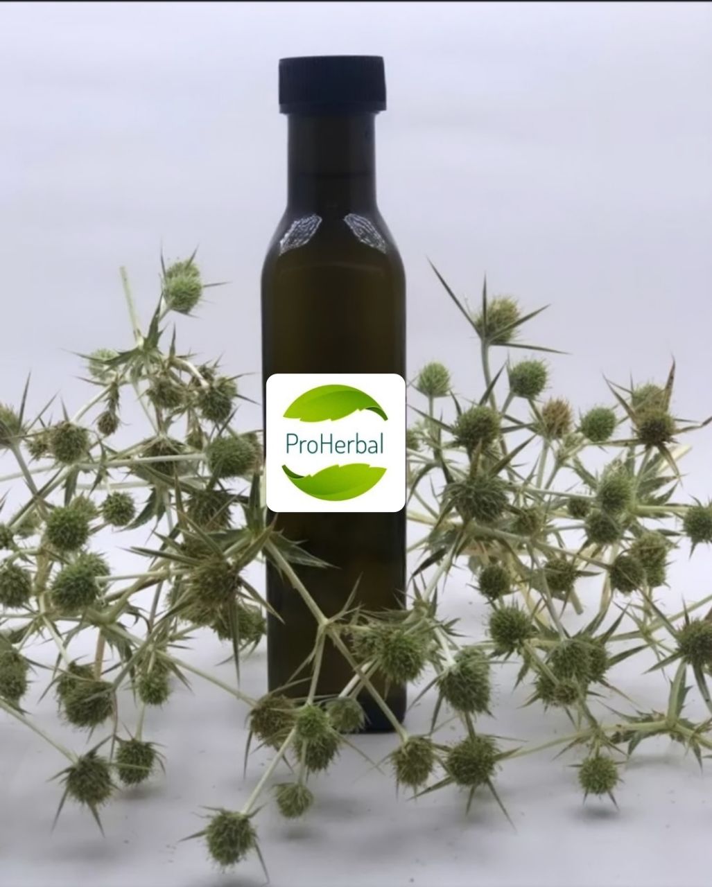 PROHERBAL BOĞA DİKENİ ÖZÜ 250 ML