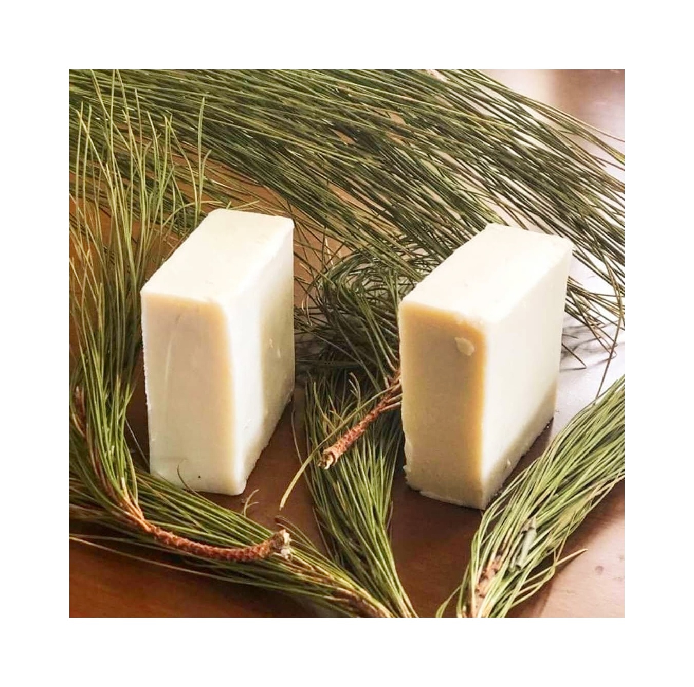 PROHERBAL ÇAM TEREBENTİN SABUNU 100 GRAM