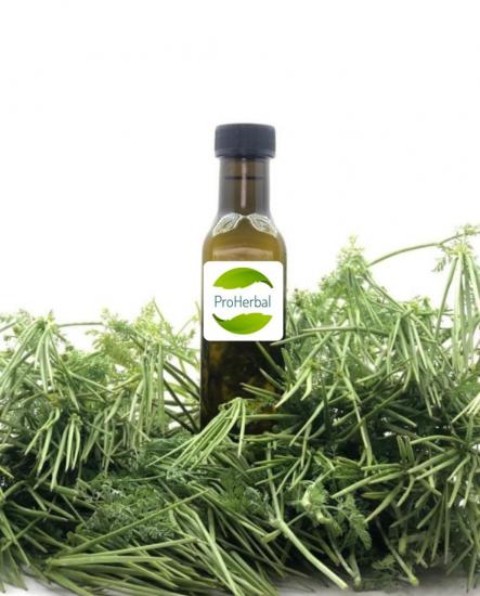 PROHERBAL İĞNELİK OTU ÖZÜ  250 ML