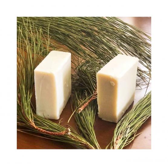 ÇAM TEREBENTİN SABUNU 100 GRAM 